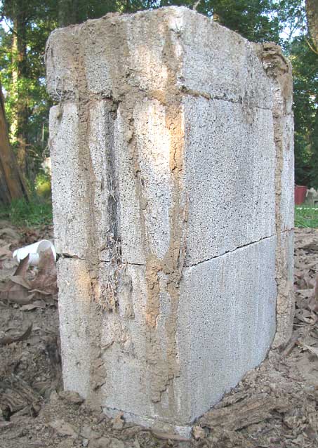 Termite mud tubes climbing up a concrete foundation pier of a building